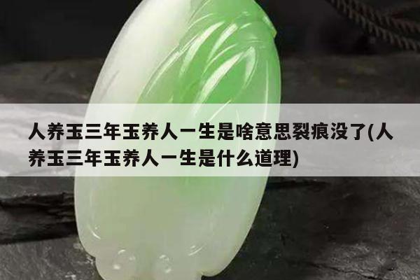 人养玉三年玉养人一生是啥意思裂痕没了(人养玉三年玉养人一生是什么道理)