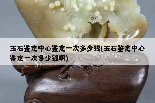 玉石鉴定中心鉴定一次多少钱(玉石鉴定中心鉴定一次多少钱啊)