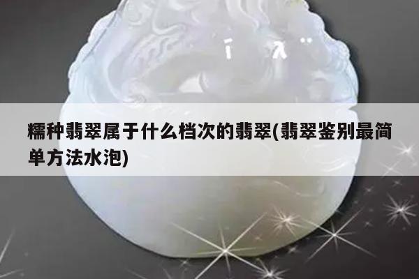 糯种翡翠属于什么档次的翡翠(翡翠鉴别最简单方法水泡)