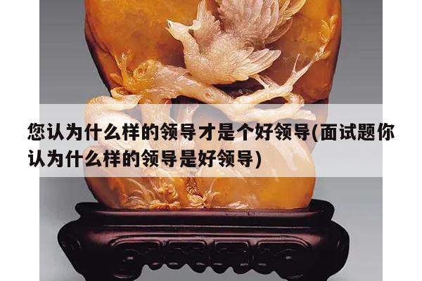您认为什么样的领导才是个好领导(面试题你认为什么样的领导是好领导)