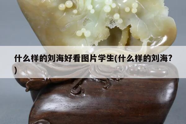 什么样的刘海好看图片学生(什么样的刘海?)