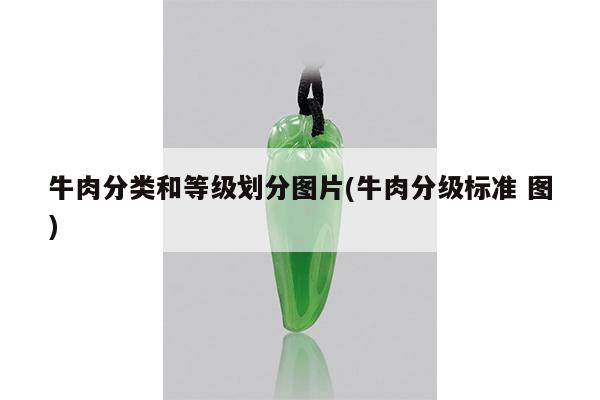 牛肉分类和等级划分图片(牛肉分级标准 图)