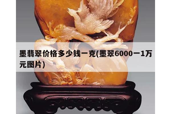 墨翡翠价格多少钱一克(墨翠6000一1万元图片)