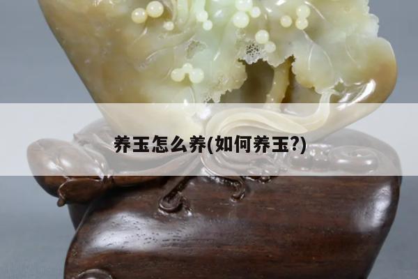 养玉怎么养(如何养玉?)