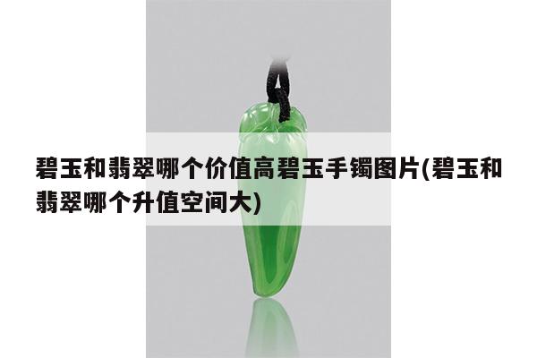碧玉和翡翠哪个价值高碧玉手镯图片(碧玉和翡翠哪个升值空间大)