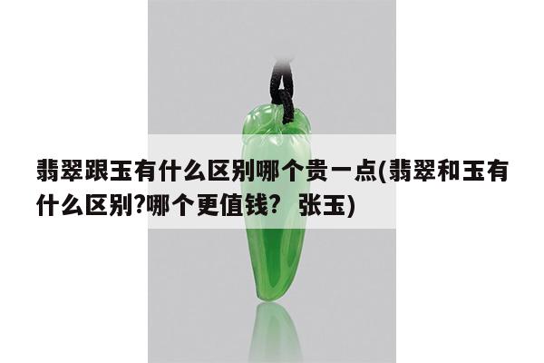 翡翠跟玉有什么区别哪个贵一点(翡翠和玉有什么区别?哪个更值钱? 张玉)