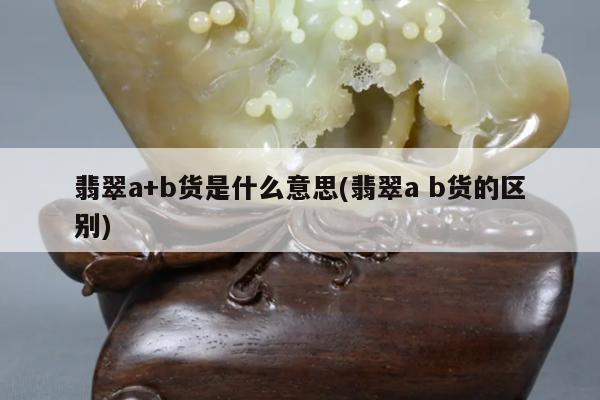 翡翠a+b货是什么意思(翡翠a b货的区别)