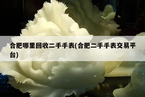 合肥哪里回收二手手表(合肥二手手表交易平台)