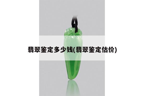 翡翠鉴定多少钱(翡翠鉴定估价)