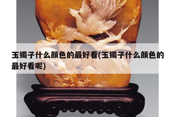 玉镯子什么颜色的最好看(玉镯子什么颜色的最好看呢)