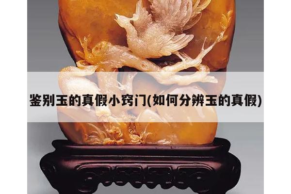 鉴别玉的真假小窍门(如何分辨玉的真假)