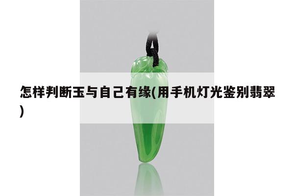 怎样判断玉与自己有缘(用手机灯光鉴别翡翠)