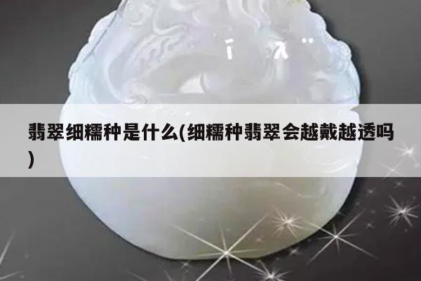 翡翠细糯种是什么(细糯种翡翠会越戴越透吗)