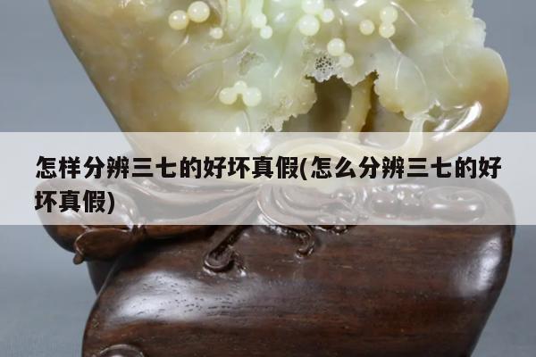 怎样分辨三七的好坏真假(怎么分辨三七的好坏真假)