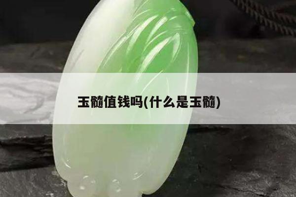 玉髓值钱吗(什么是玉髓)