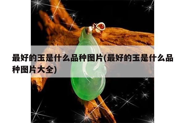 最好的玉是什么品种图片(最好的玉是什么品种图片大全)