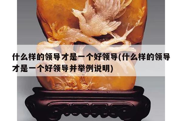 什么样的领导才是一个好领导(什么样的领导才是一个好领导并举例说明)