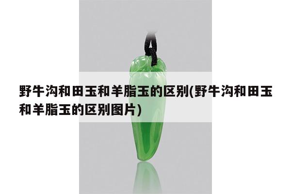 野牛沟和田玉和羊脂玉的区别(野牛沟和田玉和羊脂玉的区别图片)