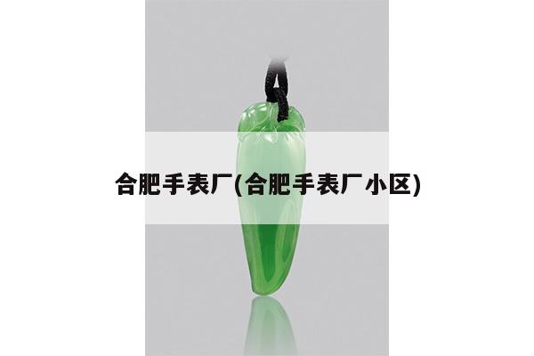 合肥手表厂(合肥手表厂小区)