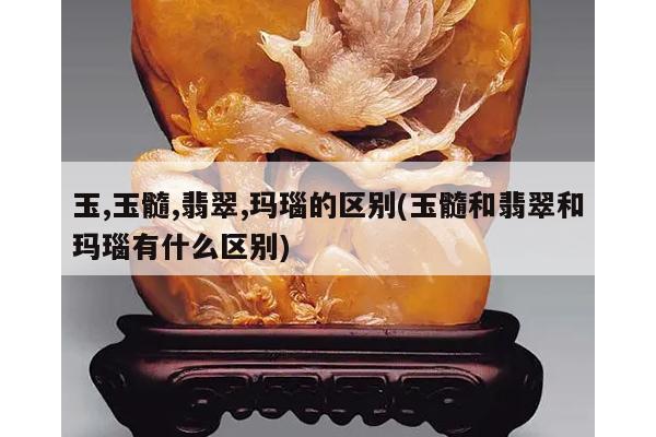 玉,玉髓,翡翠,玛瑙的区别(玉髓和翡翠和玛瑙有什么区别)