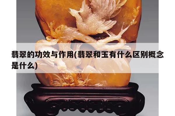 翡翠的功效与作用(翡翠和玉有什么区别概念是什么)