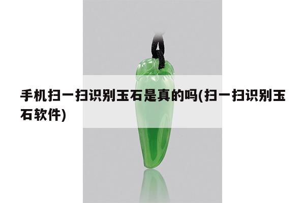 手机扫一扫识别玉石是真的吗(扫一扫识别玉石软件)
