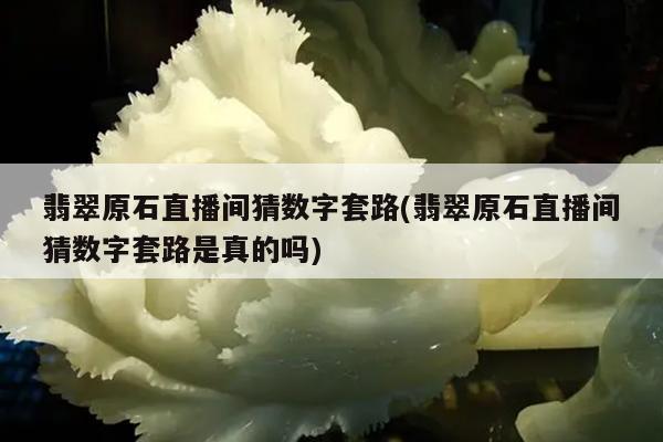 翡翠原石直播间猜数字套路(翡翠原石直播间猜数字套路是真的吗)