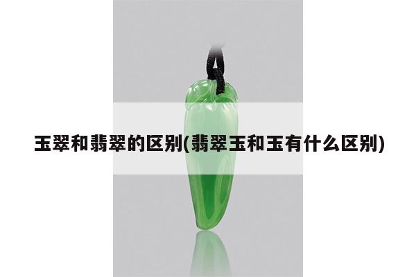 玉翠和翡翠的区别(翡翠玉和玉有什么区别)