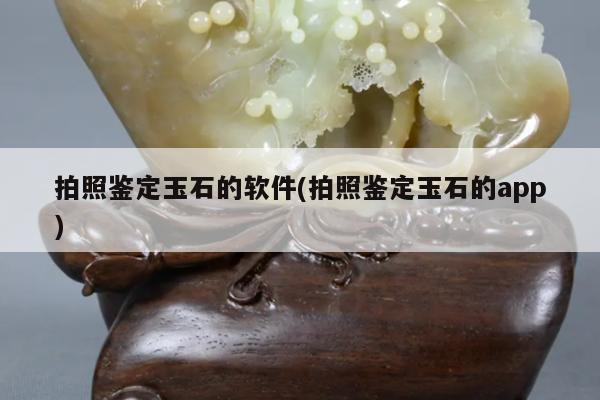 拍照鉴定玉石的软件(拍照鉴定玉石的app)