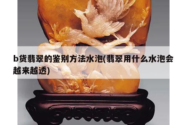 b货翡翠的鉴别方法水泡(翡翠用什么水泡会越来越透)