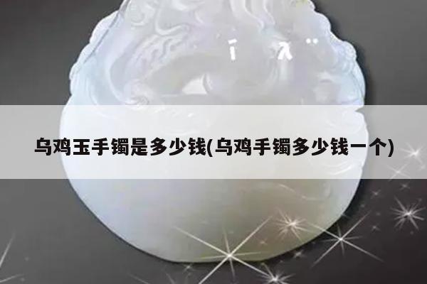 乌鸡玉手镯是多少钱(乌鸡手镯多少钱一个)