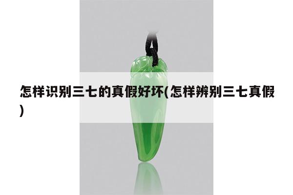 怎样识别三七的真假好坏(怎样辨别三七真假)