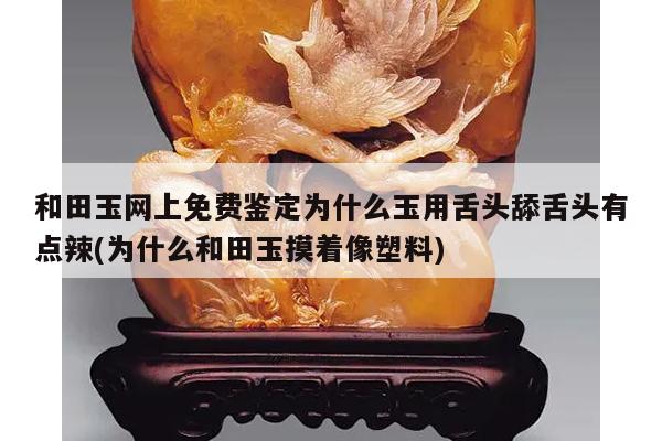 和田玉网上免费鉴定为什么玉用舌头舔舌头有点辣(为什么和田玉摸着像塑料)