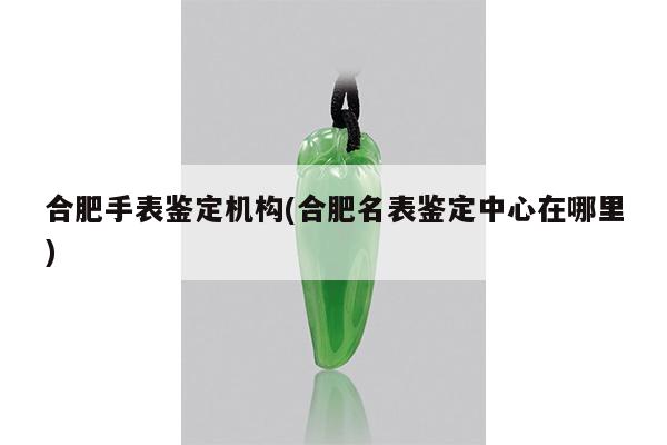 合肥手表鉴定机构(合肥名表鉴定中心在哪里)