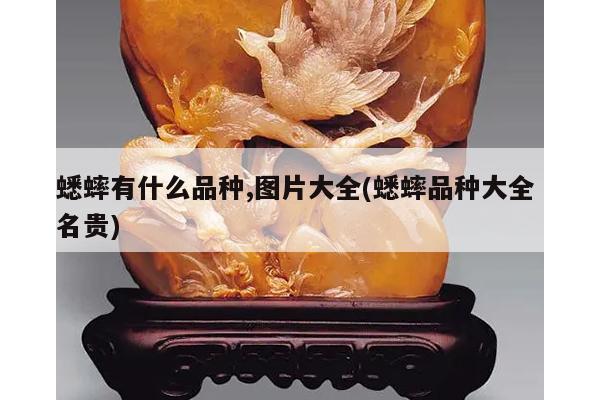 蟋蟀有什么品种,图片大全(蟋蟀品种大全 名贵)