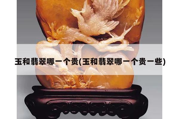 玉和翡翠哪一个贵(玉和翡翠哪一个贵一些)