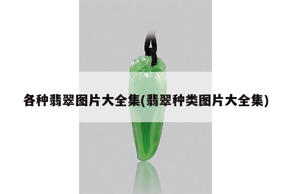 各种翡翠图片大全集(翡翠种类图片大全集)
