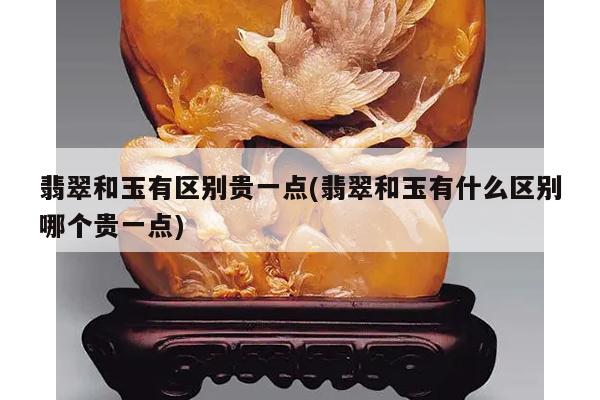 翡翠和玉有区别贵一点(翡翠和玉有什么区别哪个贵一点)
