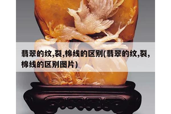 翡翠的纹,裂,棉线的区别(翡翠的纹,裂,棉线的区别图片)