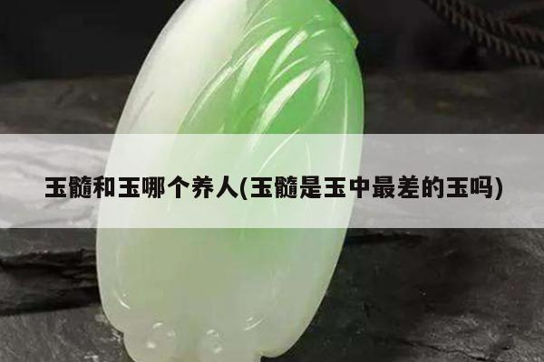玉髓和玉哪个养人(玉髓是玉中最差的玉吗)