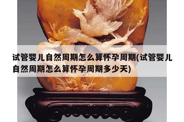 试管婴儿自然周期怎么算怀孕周期(试管婴儿自然周期怎么算怀孕周期多少天)
