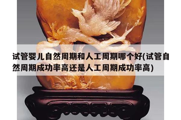 试管婴儿自然周期和人工周期哪个好(试管自然周期成功率高还是人工周期成功率高)