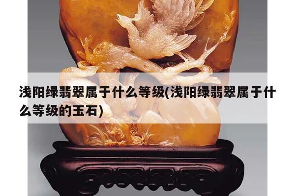 浅阳绿翡翠属于什么等级(浅阳绿翡翠属于什么等级的玉石)
