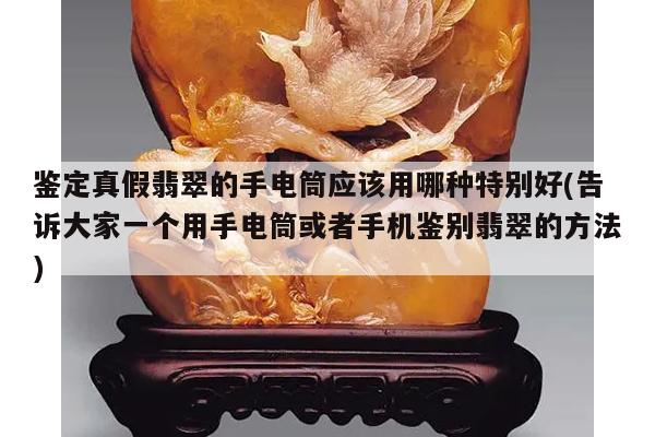 鉴定真假翡翠的手电筒应该用哪种特别好(告诉大家一个用手电筒或者手机鉴别翡翠的方法)
