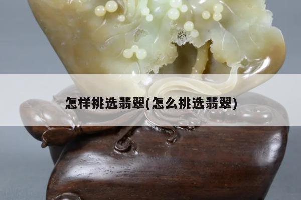 怎样挑选翡翠(怎么挑选翡翠)