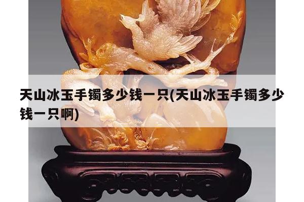 天山冰玉手镯多少钱一只(天山冰玉手镯多少钱一只啊)