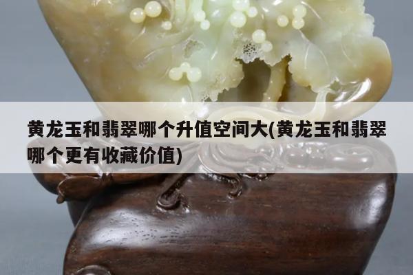 黄龙玉和翡翠哪个升值空间大(黄龙玉和翡翠哪个更有收藏价值)