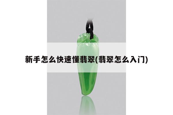 新手怎么快速懂翡翠(翡翠怎么入门)
