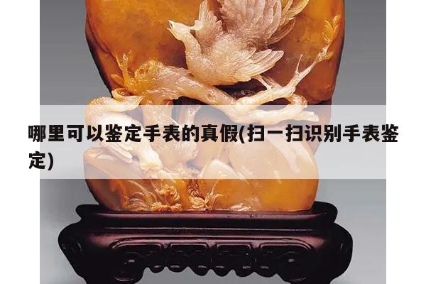 哪里可以鉴定手表的真假(扫一扫识别手表鉴定)