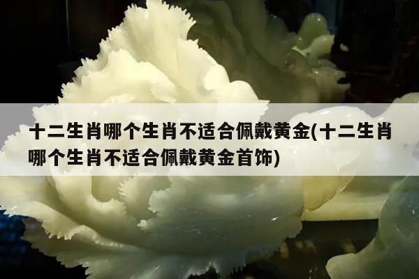 十二生肖哪个生肖不适合佩戴黄金(十二生肖哪个生肖不适合佩戴黄金首饰)